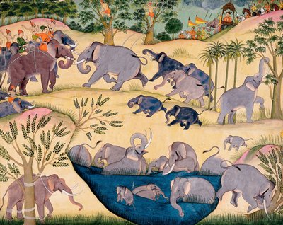 Elefantenjagd von Maharaja Anup Singh von Bikaner von Unbekannt Unbekannt